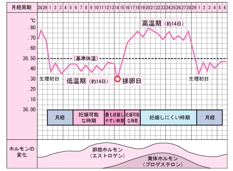 二人目が出来た友達にやきもち焼いちゃうアナタへ 出来ないプレッシャーに負けず子供を授かるためにやるべき4つのこと Codomama コドママ 私らしさを忘れないママのために