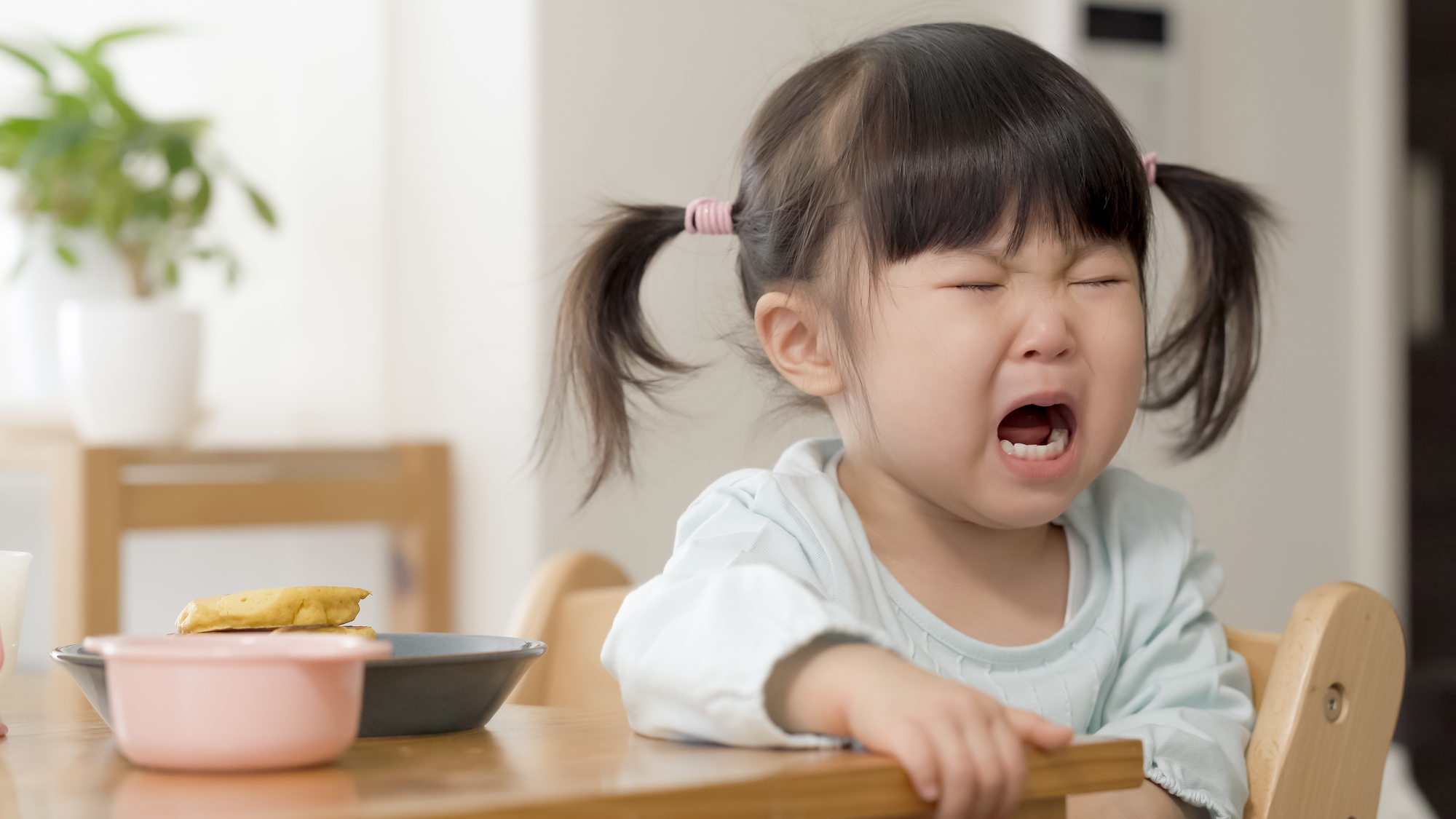食事を嫌がる2歳の子ども